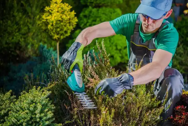 landscaping services Shreveport